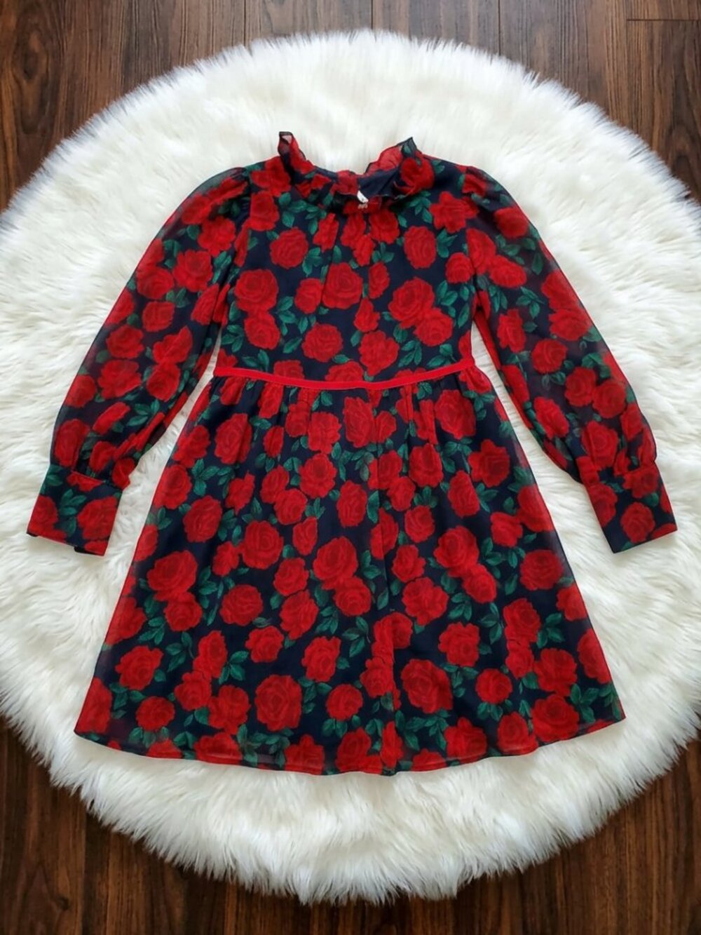 Janie and Jack Rose Chiffon Dress Size 12